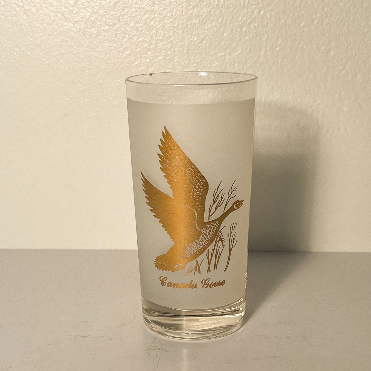 (23764) Set of Five Vintage Game Bird Tumblers with Gold Design