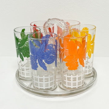 (23581) Set of Six Tropical Flower Glasses in Carrier