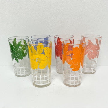 (23581) Set of Six Tropical Flower Glasses in Carrier